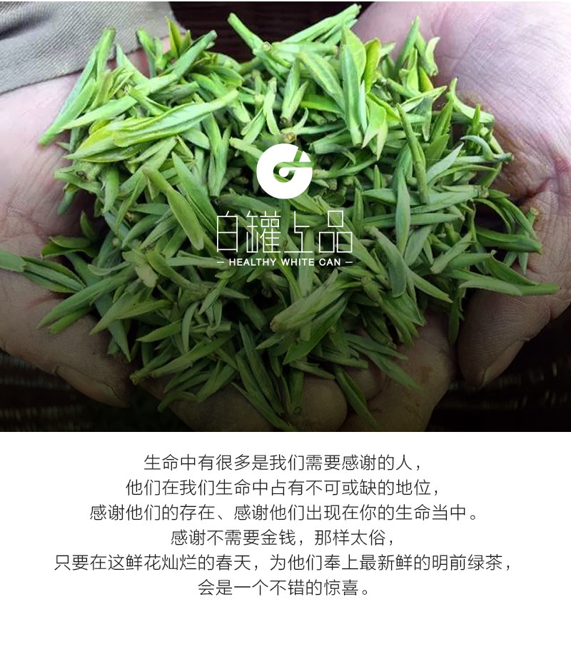 覆膜鐵白罐小罐茶應(yīng)用之謝裕大