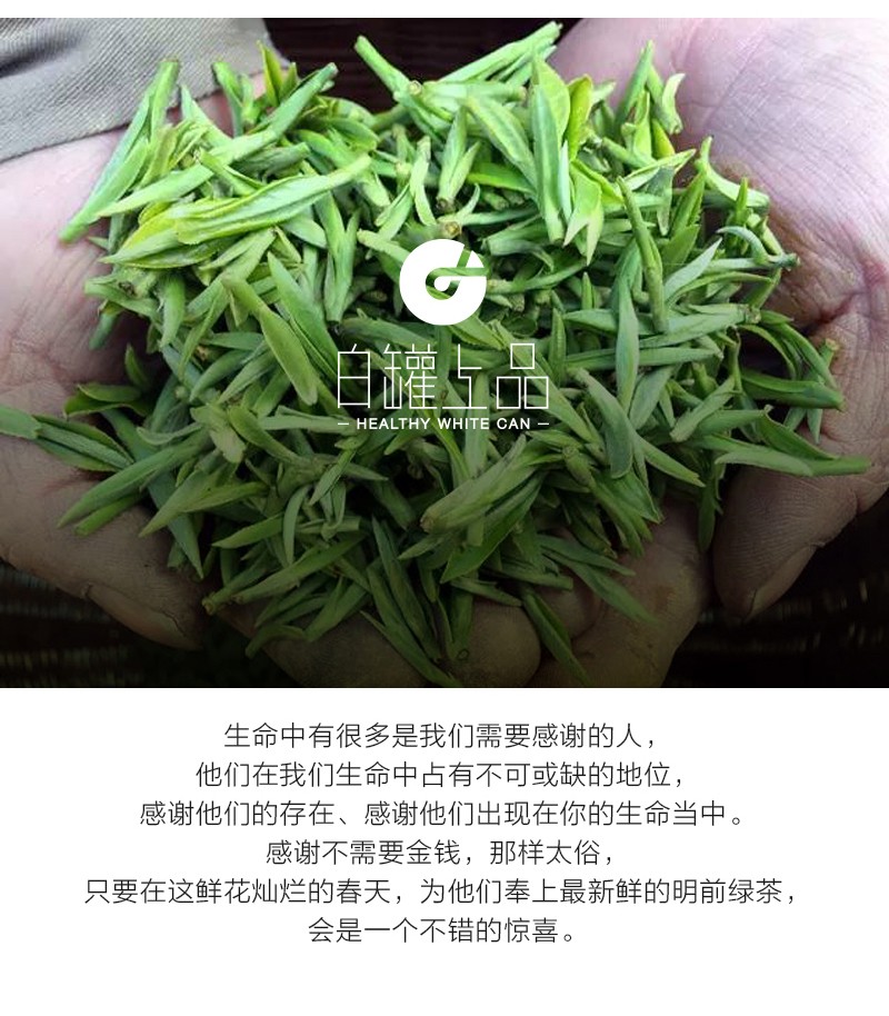 覆膜鐵白罐小罐茶應(yīng)用之九溪明前獅峰龍井茶