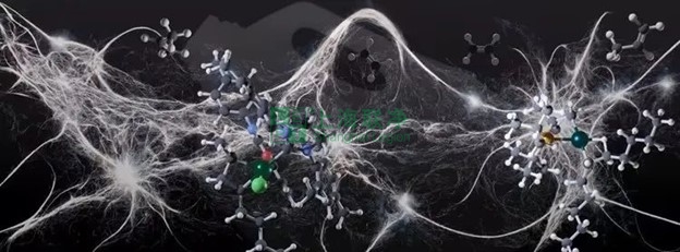 超高分子量聚乙烯（UHMWPE）材料的最新應(yīng)用與未來展望